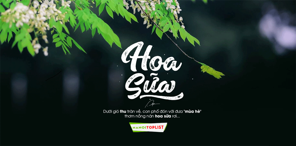 hoa-sua