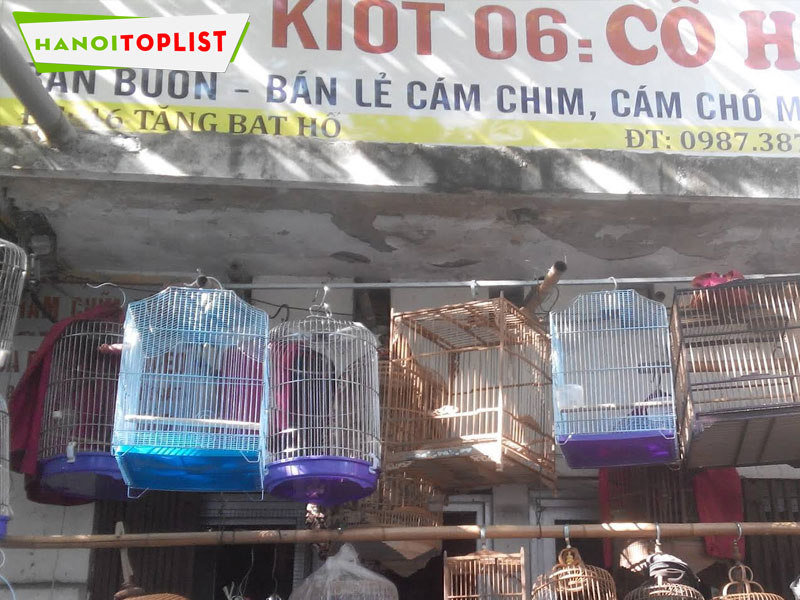 Top 12+ địa điểm mua chim cảnh tại Hà Nội đa dạng chủng loại
