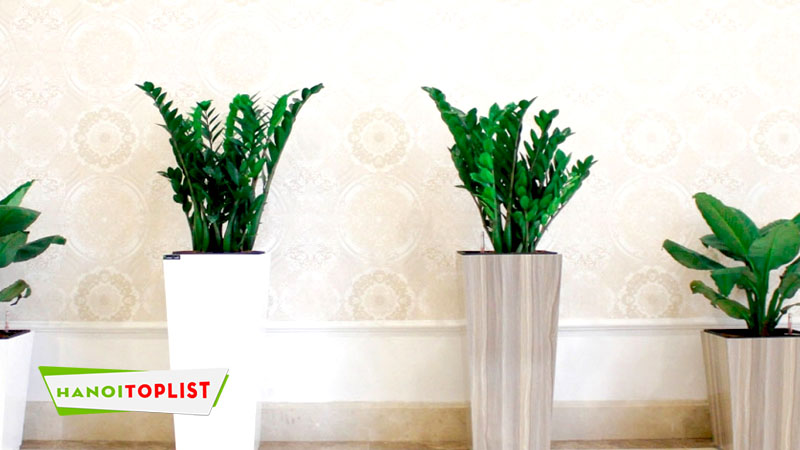 greentrus-ha-noi
