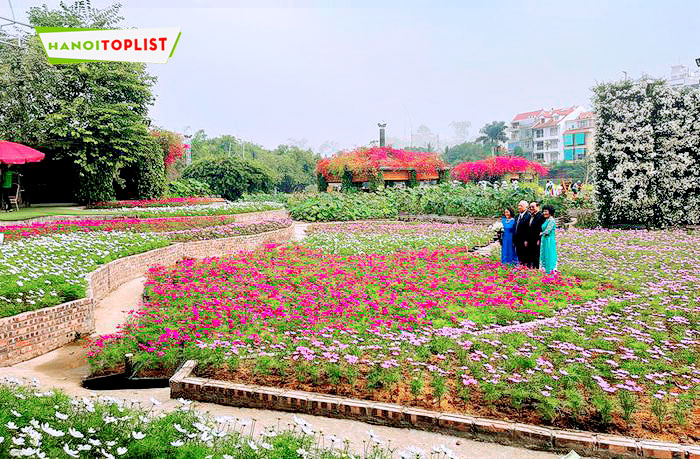 thung-lung-hoa-ho-tay-o-dau-9