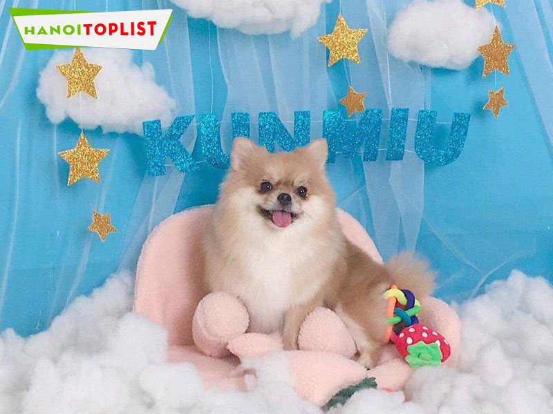 cun-miu-pet-shop-hanoitoplist