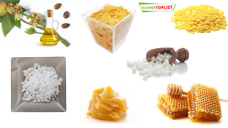 thanh-phan-co-trong-wax-toc-hahoitoplist