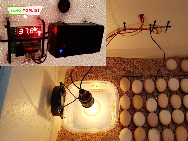 hoang-luan-1-hanoitoplist