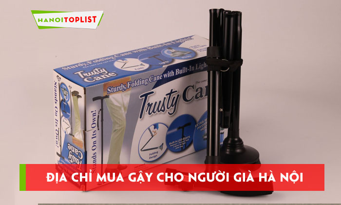top-dia-chi-mua-gay-cho-nguoi-gia-ha-noi-uy-tin-chat-luong-hanoitoplist