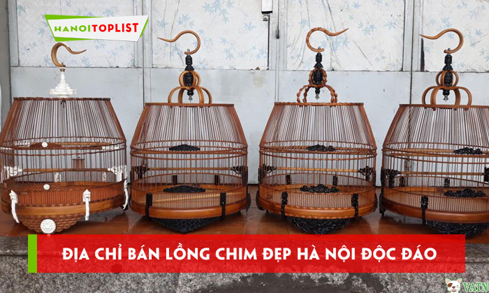 long-chim-dep-ha-noi-top-11-dia-chi-ban-doc-dao-hanoitoplist