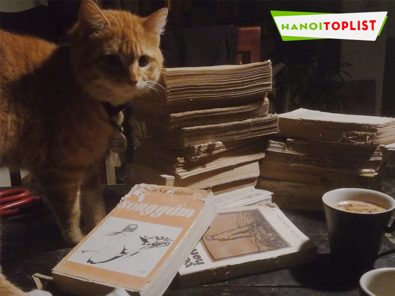 gac-mien-cafe-coffee-thu-cung-tai-ha-noi-hanoitoplist
