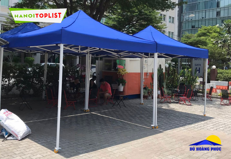 co-bao-nhieu-loai-du-tai-du-hoang-phuc-hanoitoplist