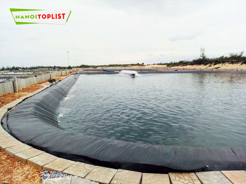 nhung-thong-tin-chung-ve-bat-xanh-cam-bat-lot-ho-2-hanoitoplist