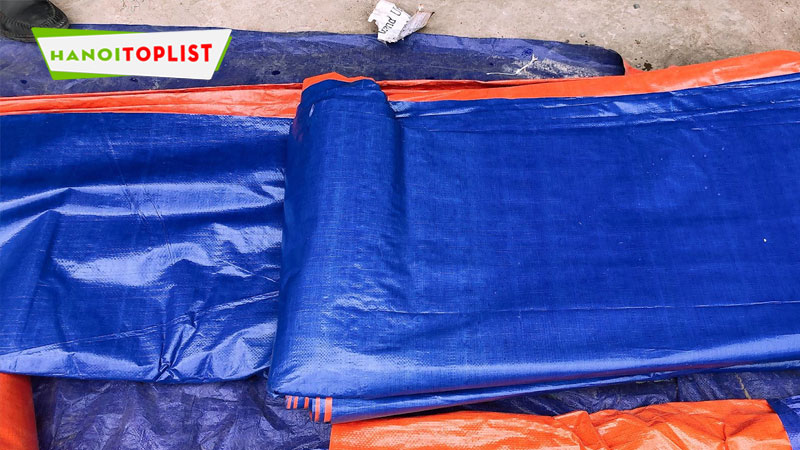 nhung-thong-tin-chung-ve-bat-xanh-cam-bat-lot-ho-hanoitoplist