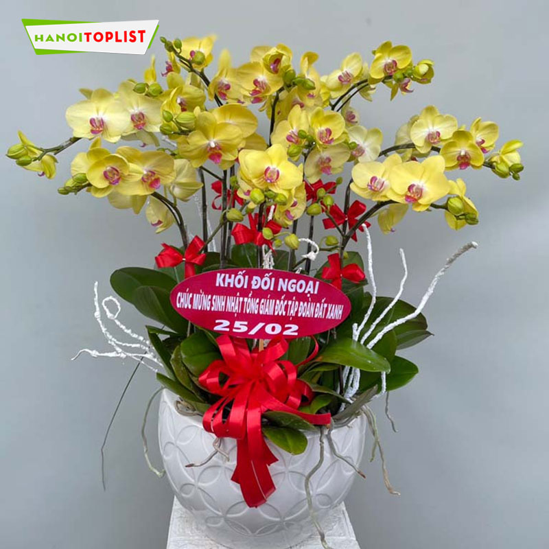 dat-lan-ho-diep-gia-re-giao-tan-noi-tai-lanhodiep-flowers-hanoitoplist-1
