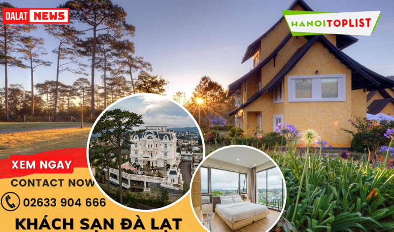 gioi-thieu-ve-dalatnews-hanoitoplist