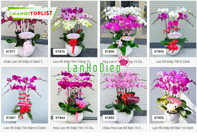 lanhodiep-flowers-khang-dinh-thuong-hieu-tren-thi-truong-hanoitoplist
