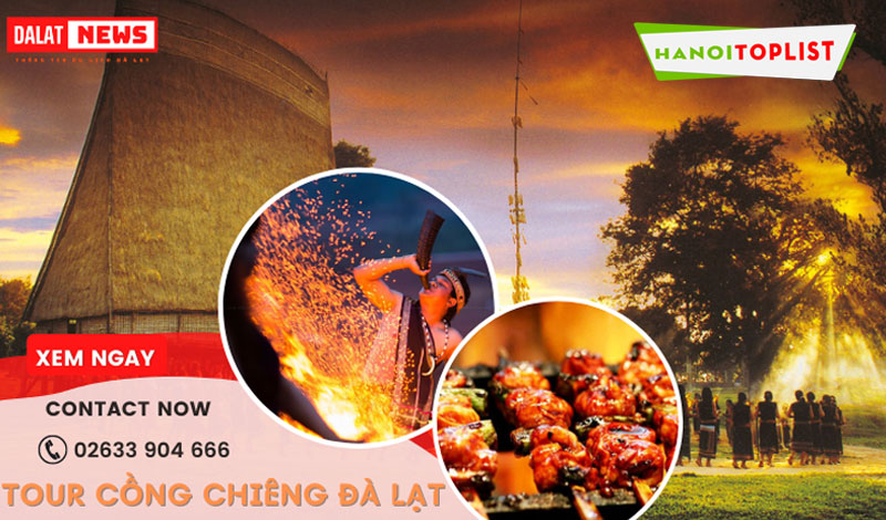 ly-do-dalatnews-luon-duoc-nhieu-doc-gia-yeu-men-hanoitoplist