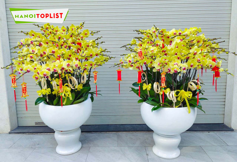 tang-hoa-lan-ho-diep-vao-dip-nao-hanoitoplist-1