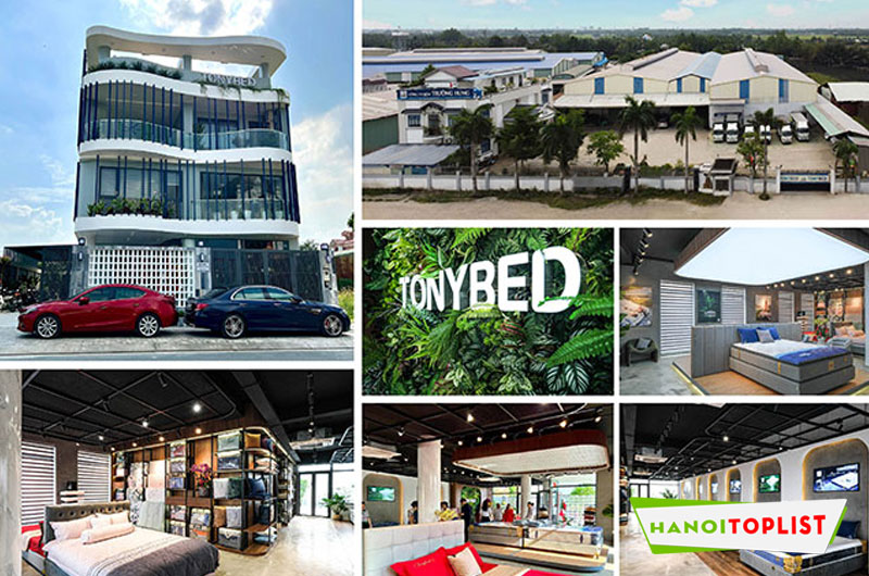 mua-nem-lo-xo-tui-uy-tin-tai-tonybed-hanoitoplist-1