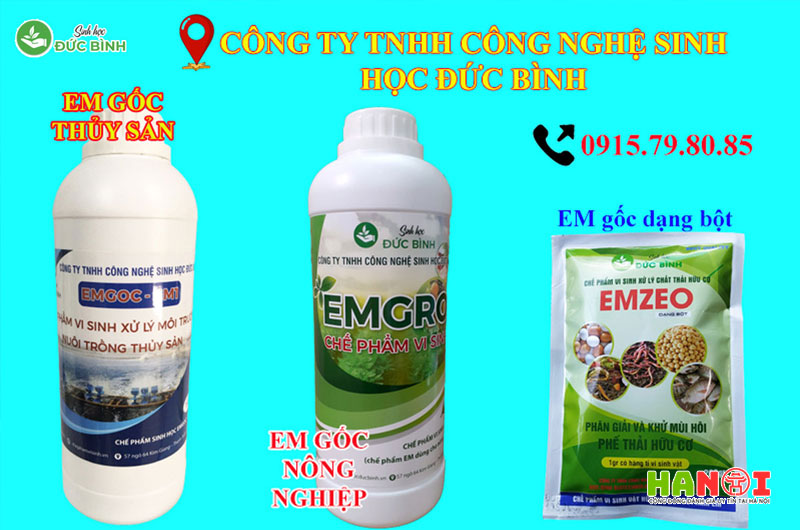 doi-net-ve-trung-tam-che-pham-sinh-hoc-duc-binh-hanoitoplist