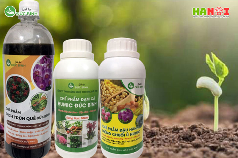 nhung-san-pham-ma-trung-tam-duc-binh-dang-san-xuat-hanoitoplist