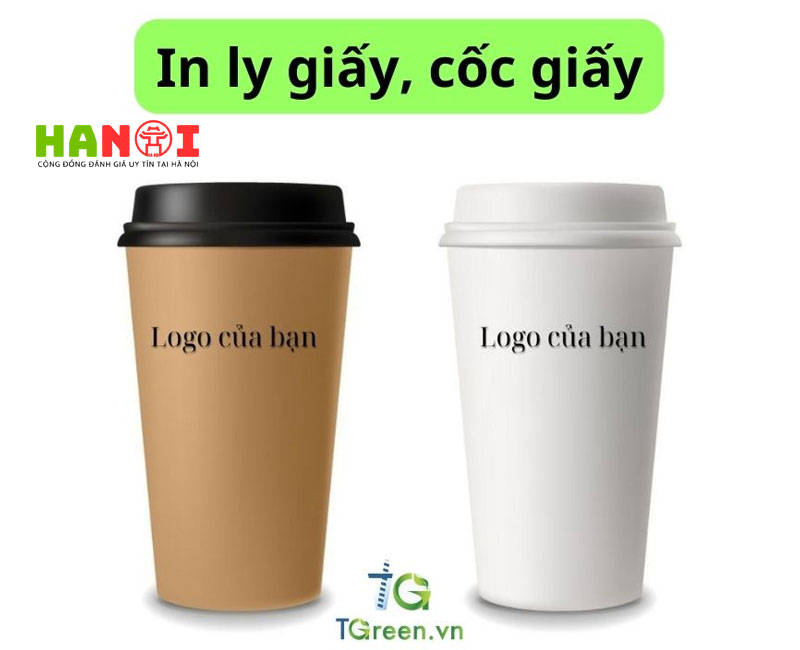 co-nen-su-dung-dich-vu-in-ly-giay-tai-tgreen-hay-khong-hanoitoplist