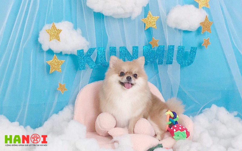kun-miu-pet-shop-grooming-hanoitoplist