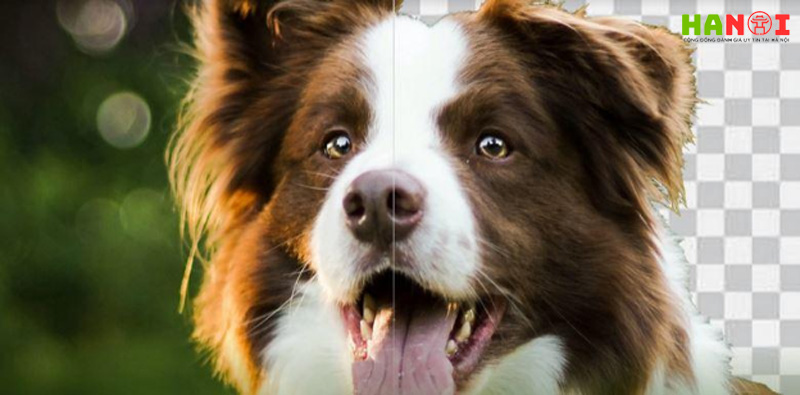 trinh-tao-nen-trong-suot-cua-capcut-hanoitoplist