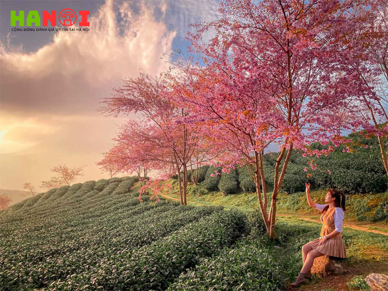 5-diem-du-xuan-tet-2024-tai-da-lat-1