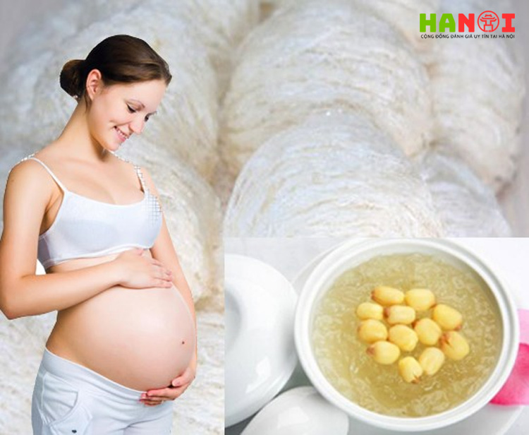 Loi-ich-yen-sao-van-xuan-doi-voi-suc-khoe-hanoitoplist-1